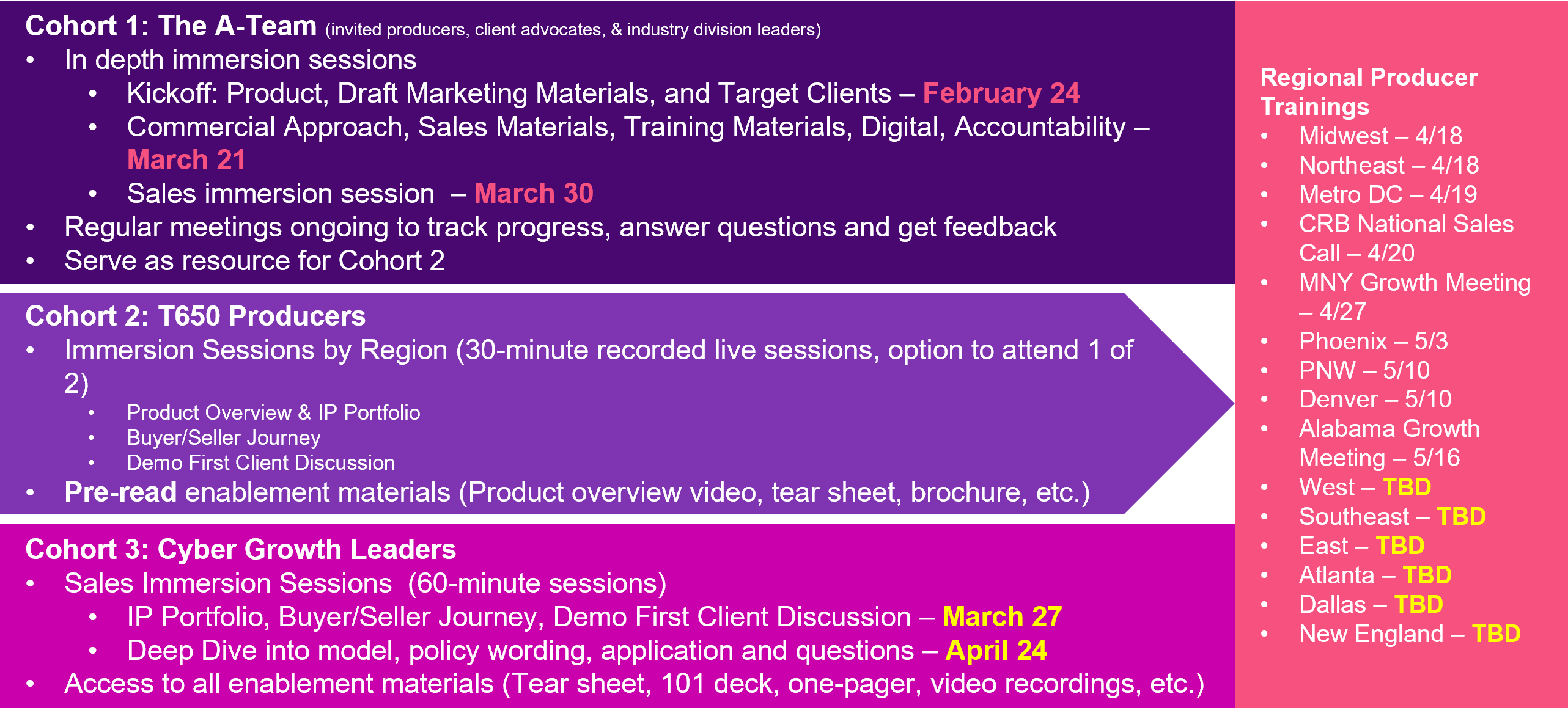 Immersion and Sales Enablement Approach